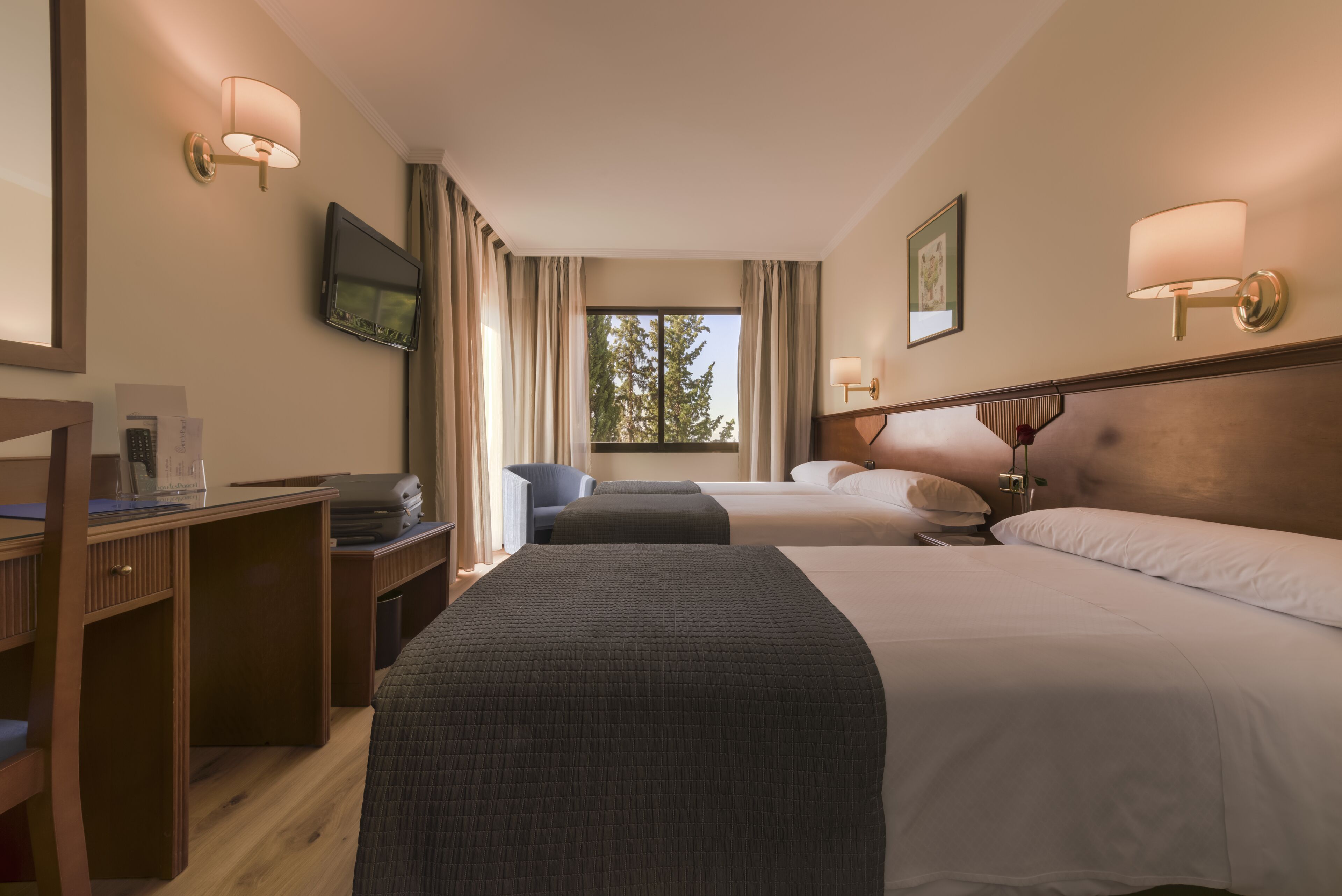 Foto - Porcel Alixares