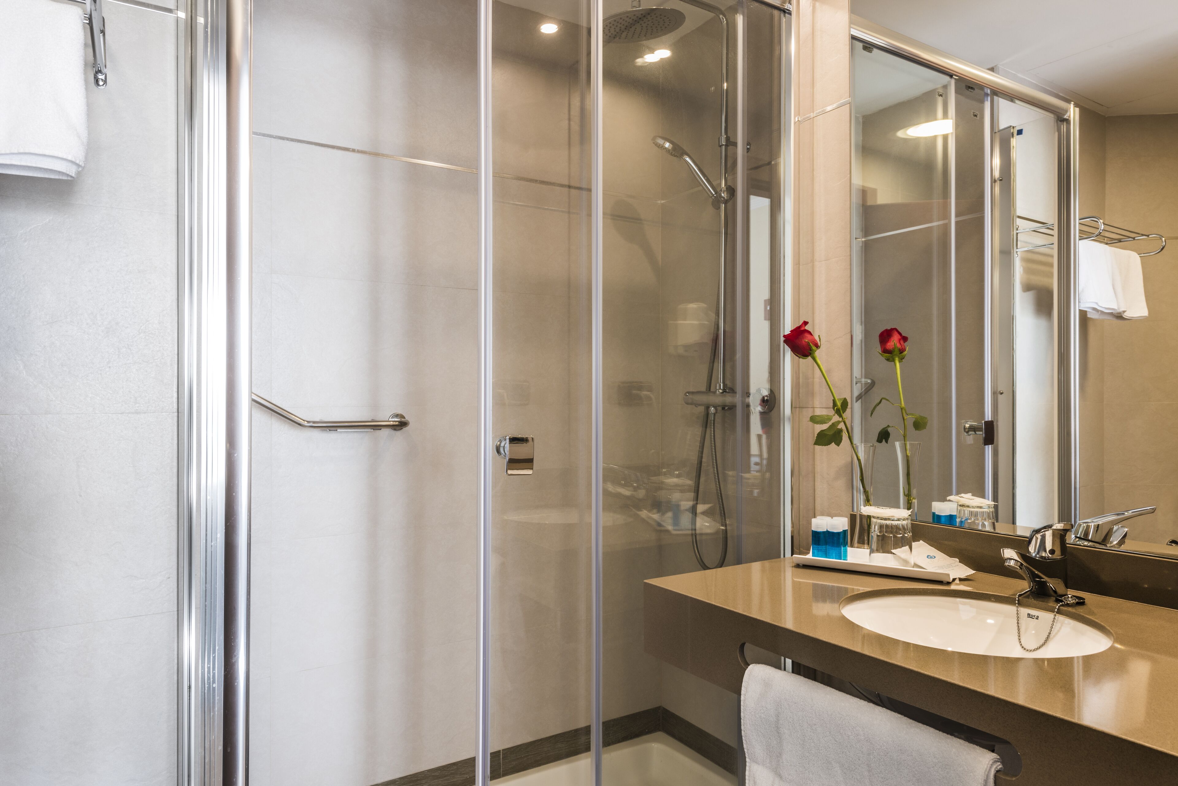 combined shower/bathtub, free toiletries, hair dryer, bidet