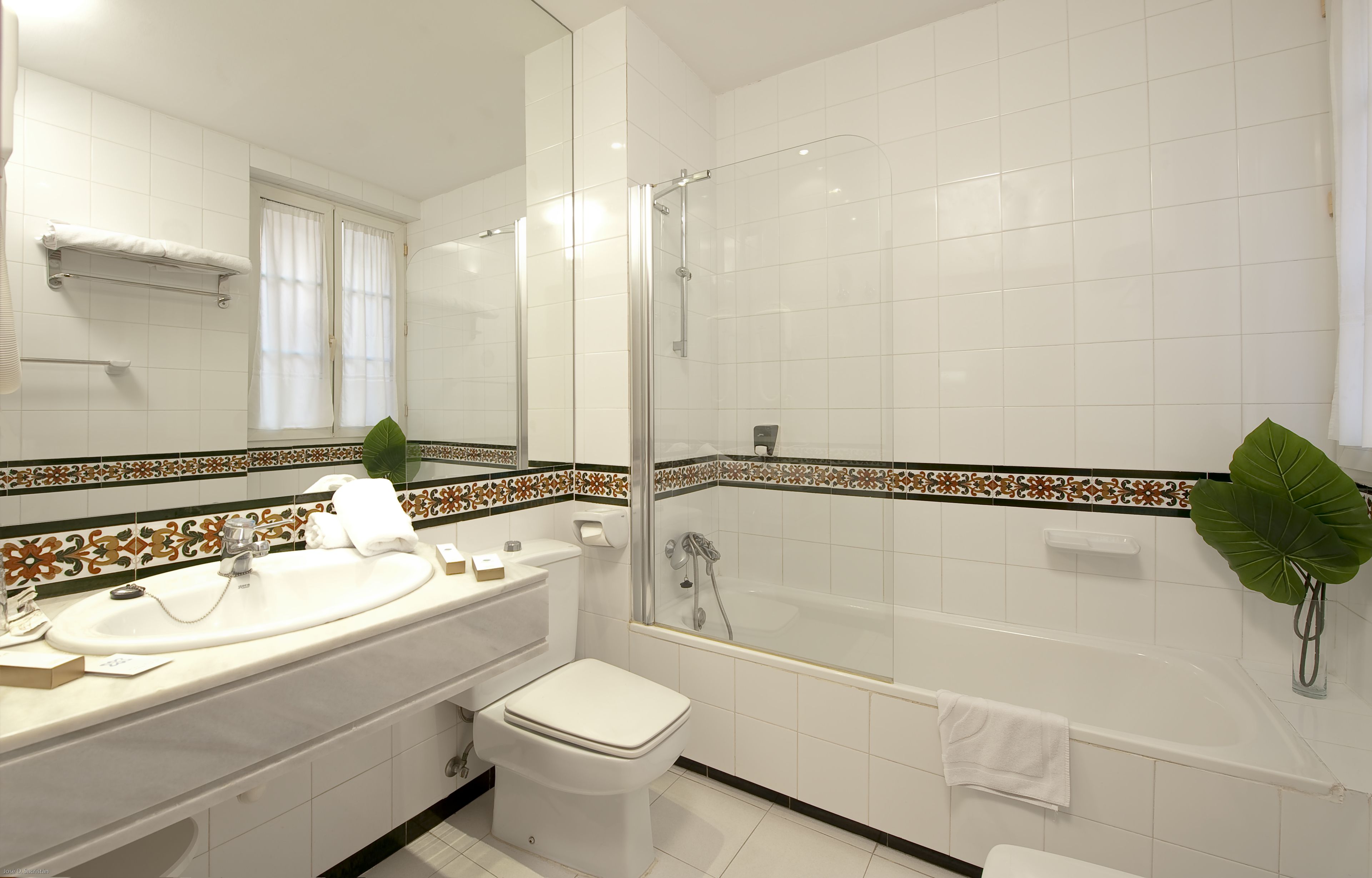 combined shower/bathtub, free toiletries, hair dryer, bidet