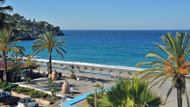 Una playa con palmeras, mar azul turquesa y edificios al fondo.
