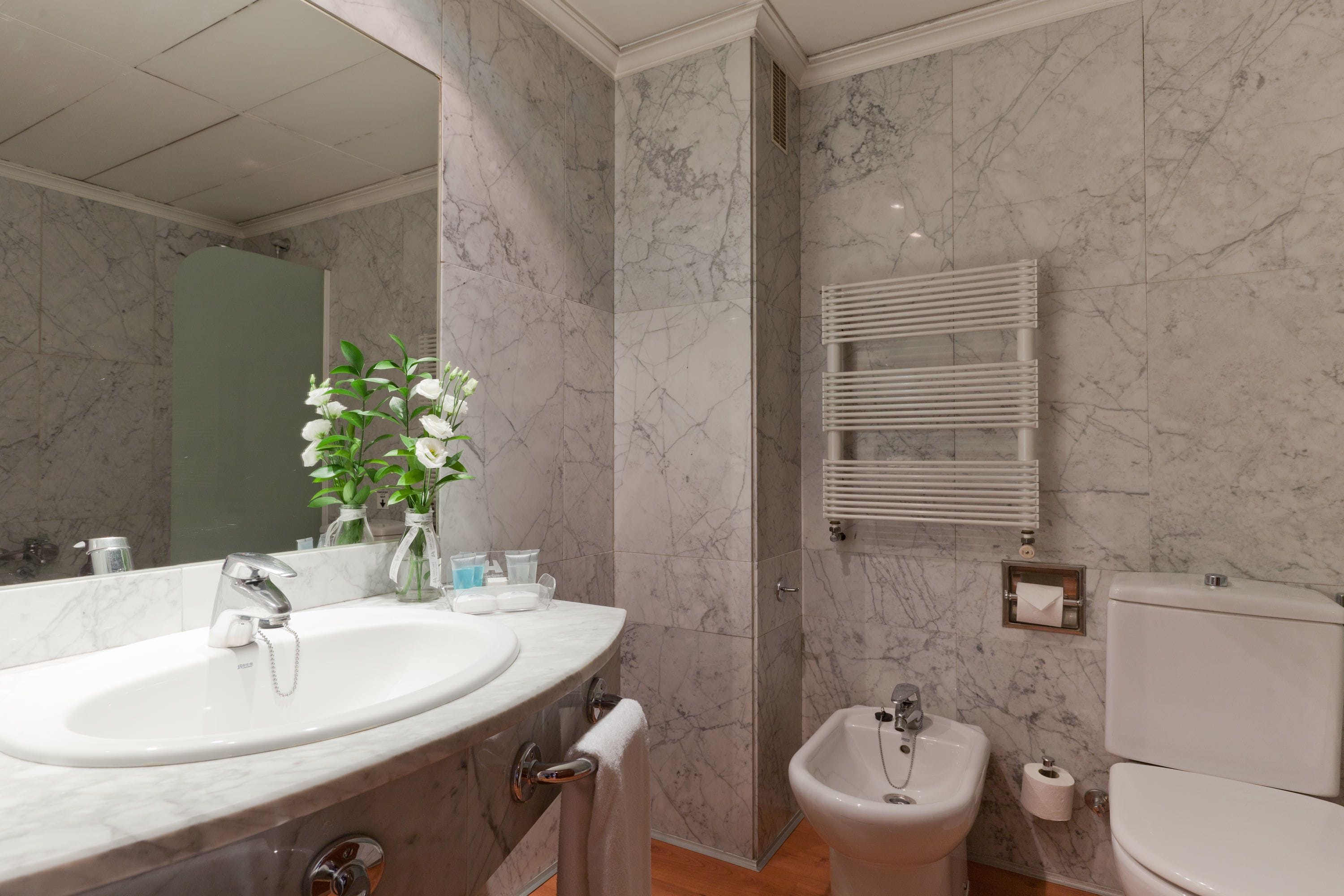 combined shower/bathtub, free toiletries, hair dryer, bidet