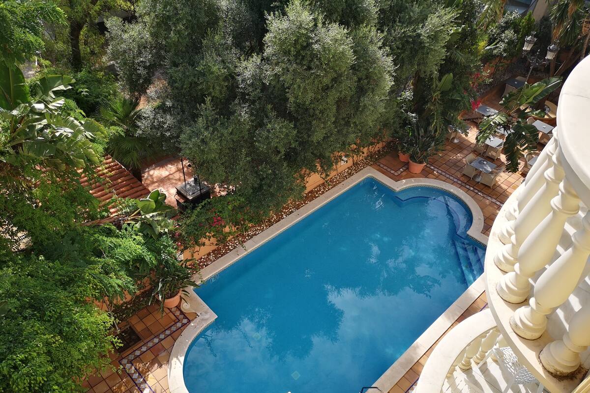 A rectangular pool with a white border, surrounded by lush greenery and a tiled deck.