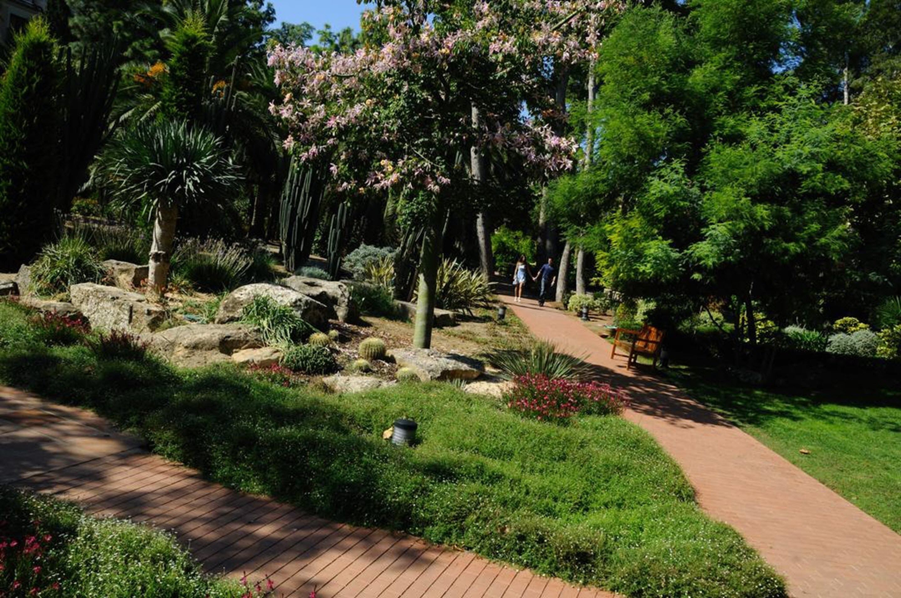 Ein Garten mit gepflastertem Weg, unterschiedlicher Bepflanzung und einer Bank.