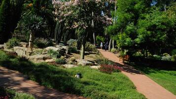 Ein Garten mit gepflastertem Weg, unterschiedlicher Bepflanzung und einer Bank.