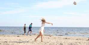 On the beach, windsurfing, beach bar