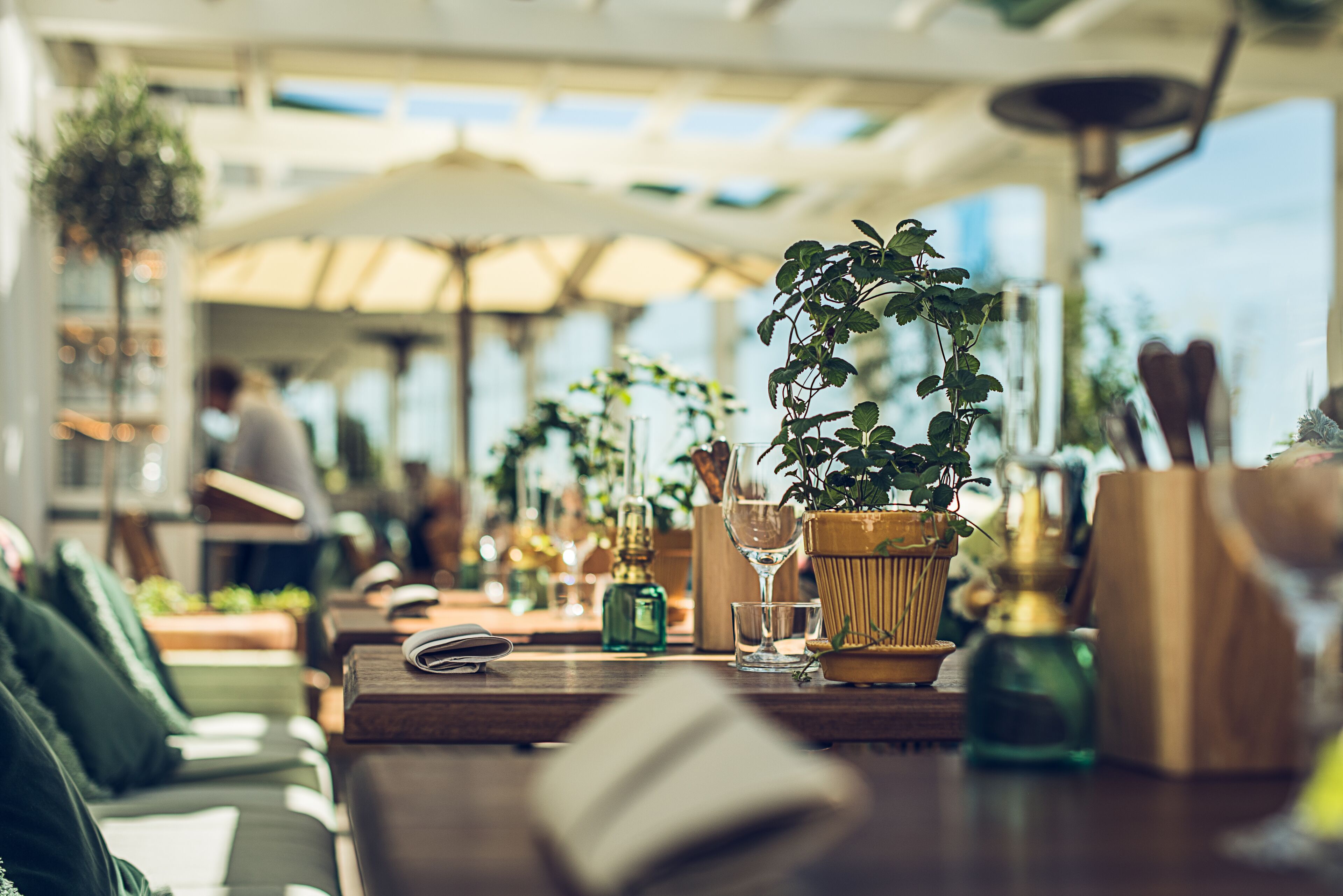 An outdoor dining area with tables, chairs, potted plants, and umbrellas.