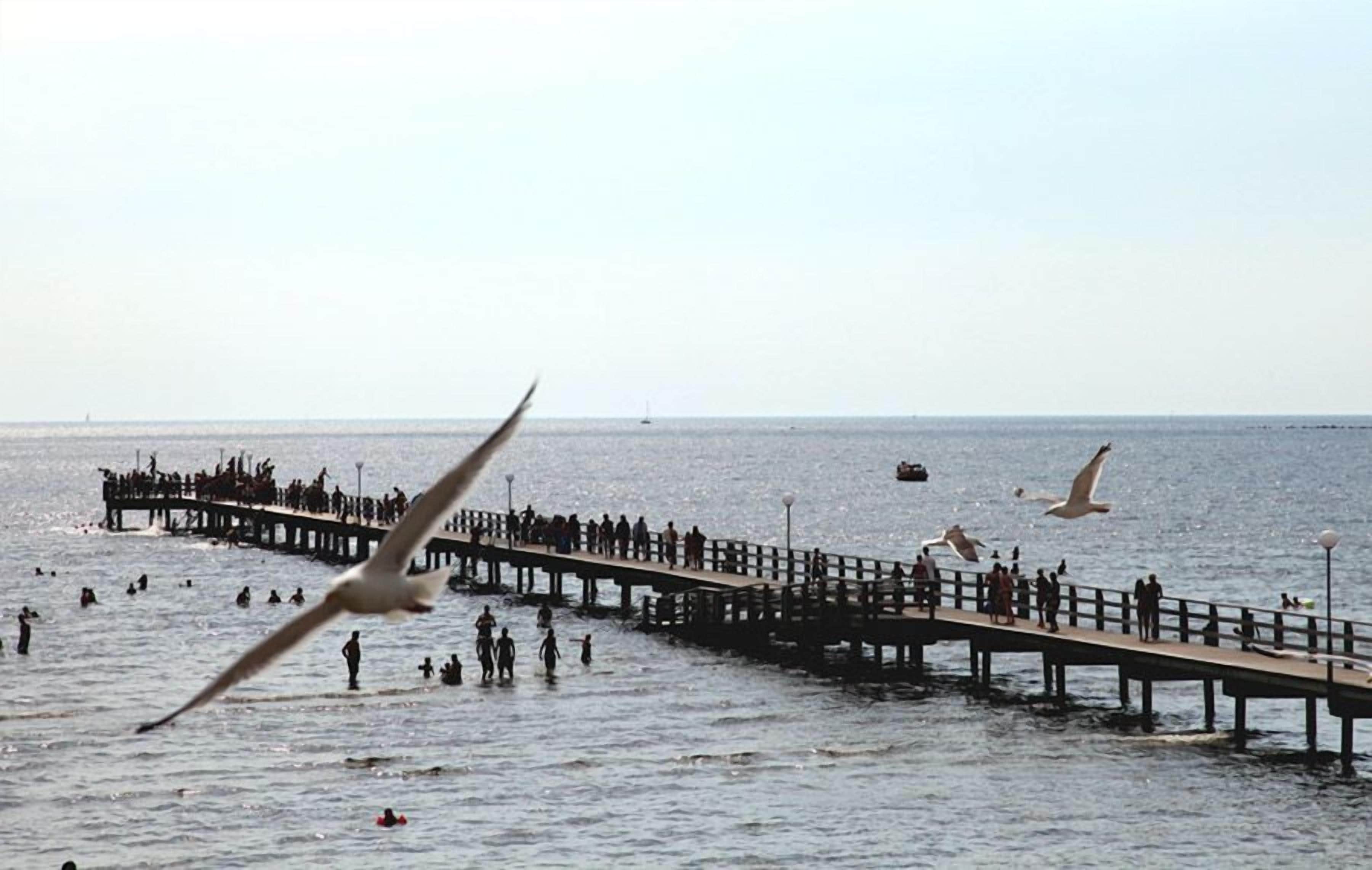 on the beach, windsurfing, beach bar