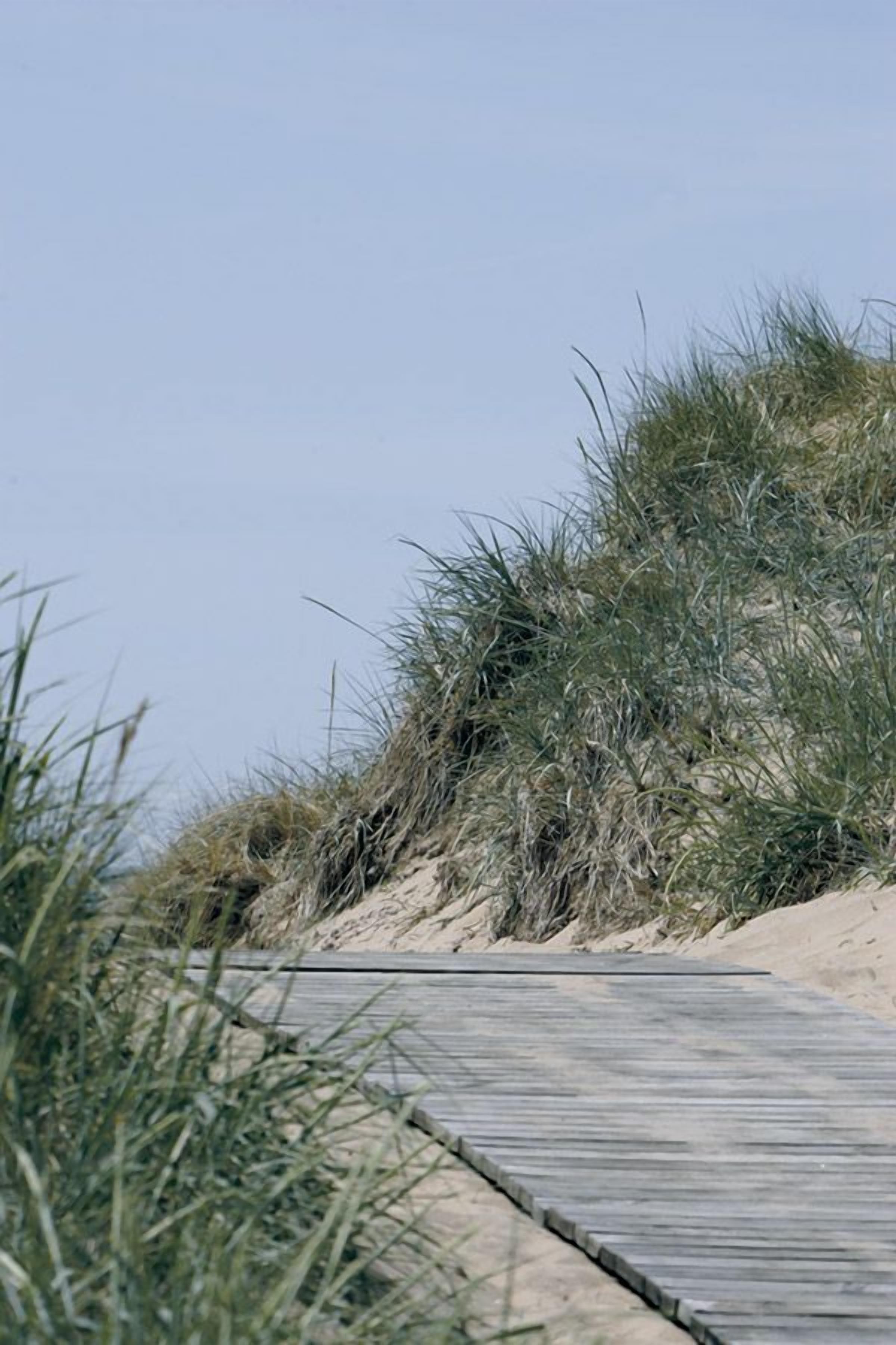 on the beach, windsurfing, beach bar