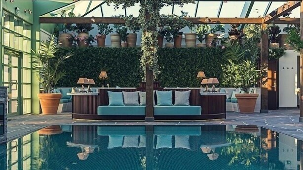A pool area with a sofa and lamps, surrounded by potted plants and a green wall.