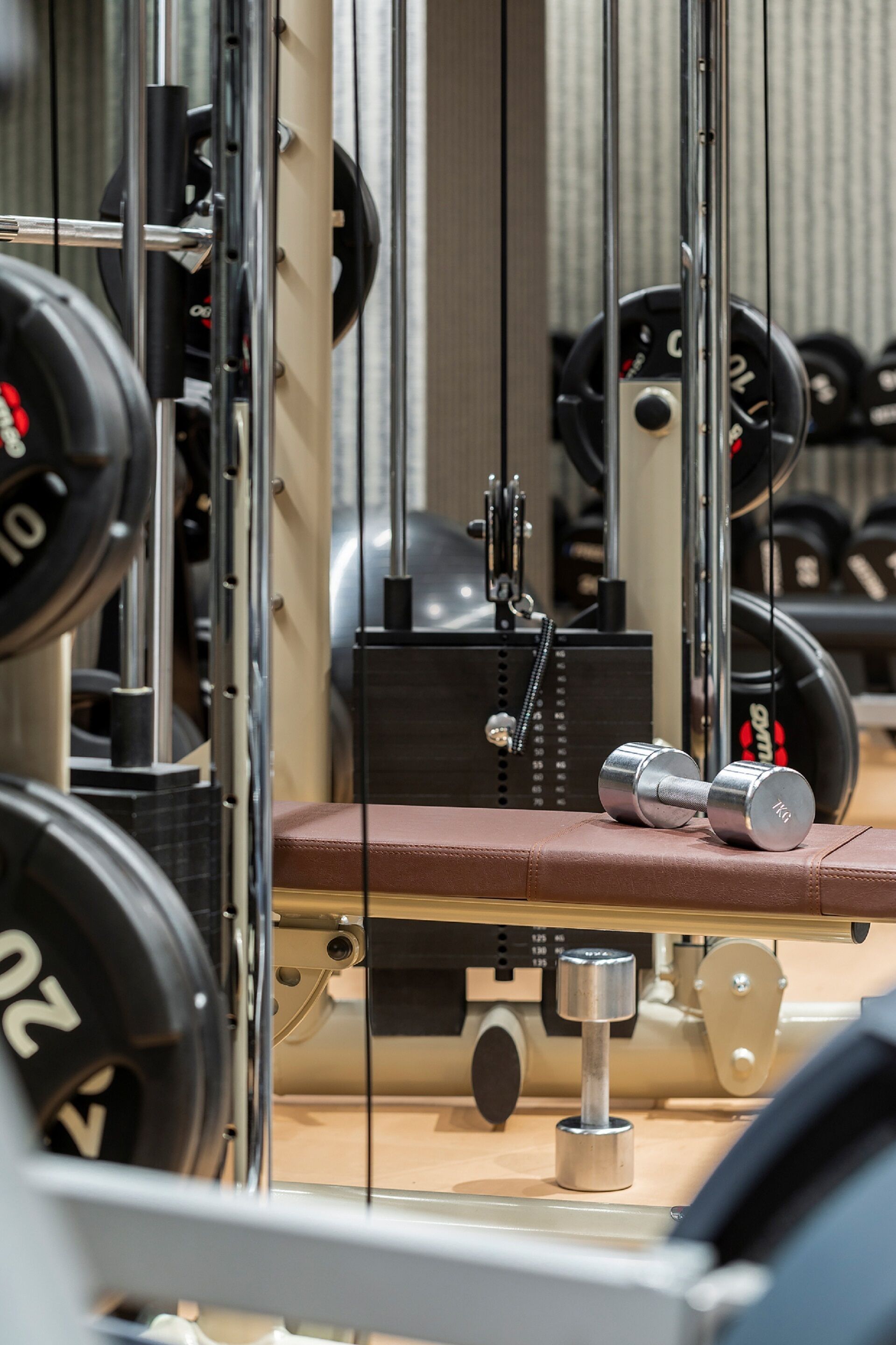 A gym with weightlifting equipment, including dumbbells and barbells, and a bench.