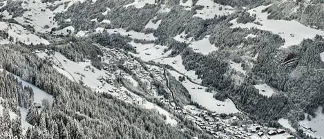 A mountainous landscape with snow-covered peaks and forested areas.