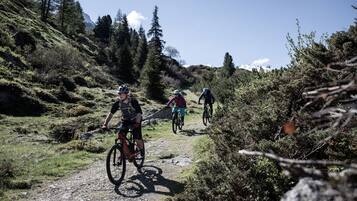 Drei Mountainbiker auf einem Schotterweg, umgeben von viel Grün und Bäumen.