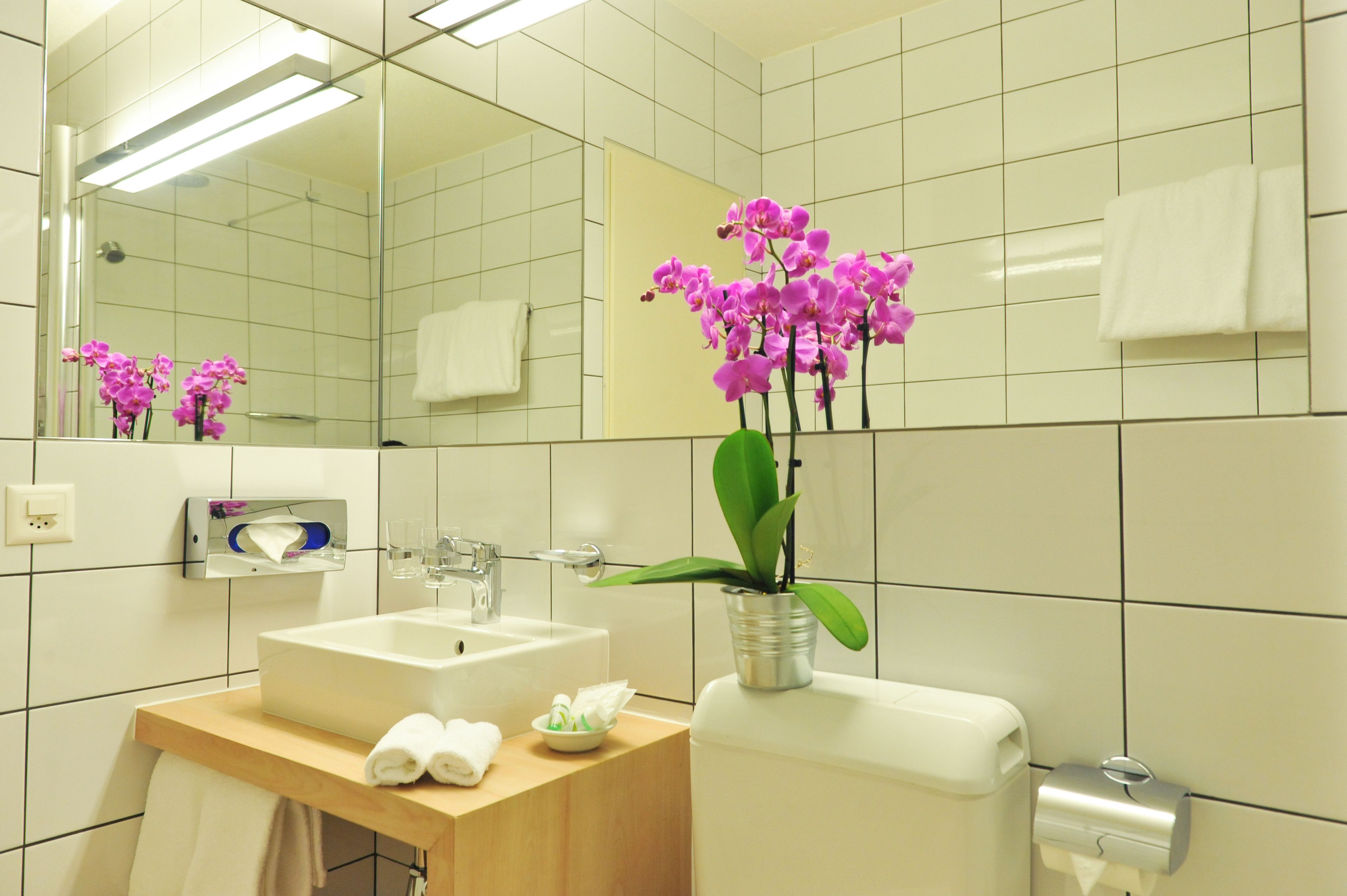 free toiletries, towels