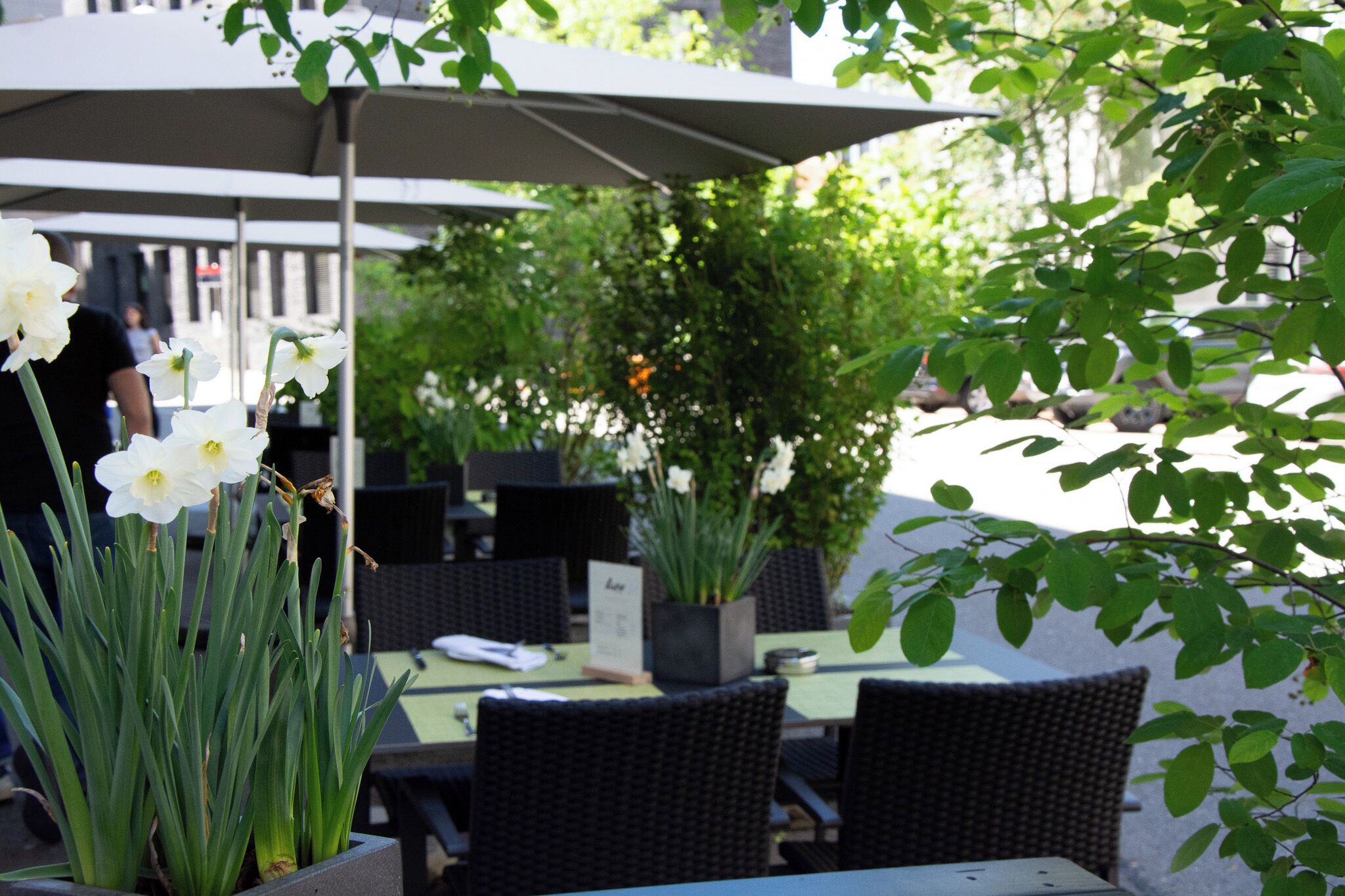 An outdoor seating area with tables and chairs, a covered umbrella, and a potted plant.