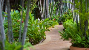 A stone pathway surrounded by lush greenery and bamboo plants. - Dusit Princess Srinakarin (Bangkok)