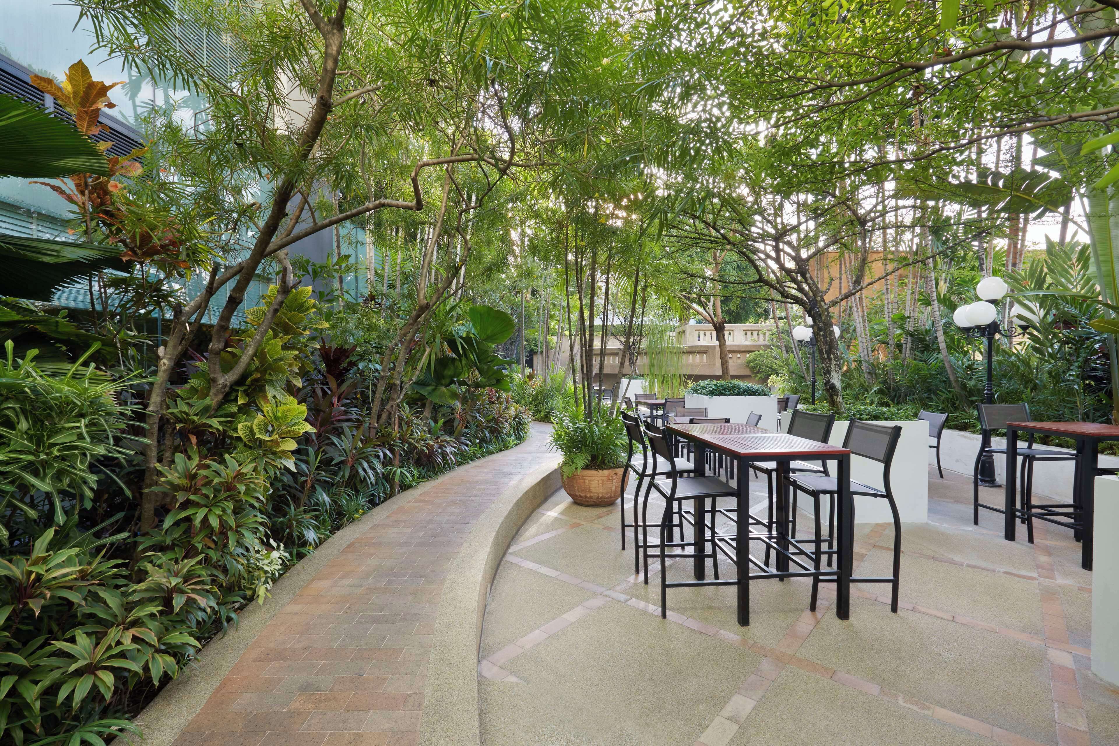 Un patio al aire libre con mesas y sillas, rodeado de abundante vegetación y un sendero curvo.