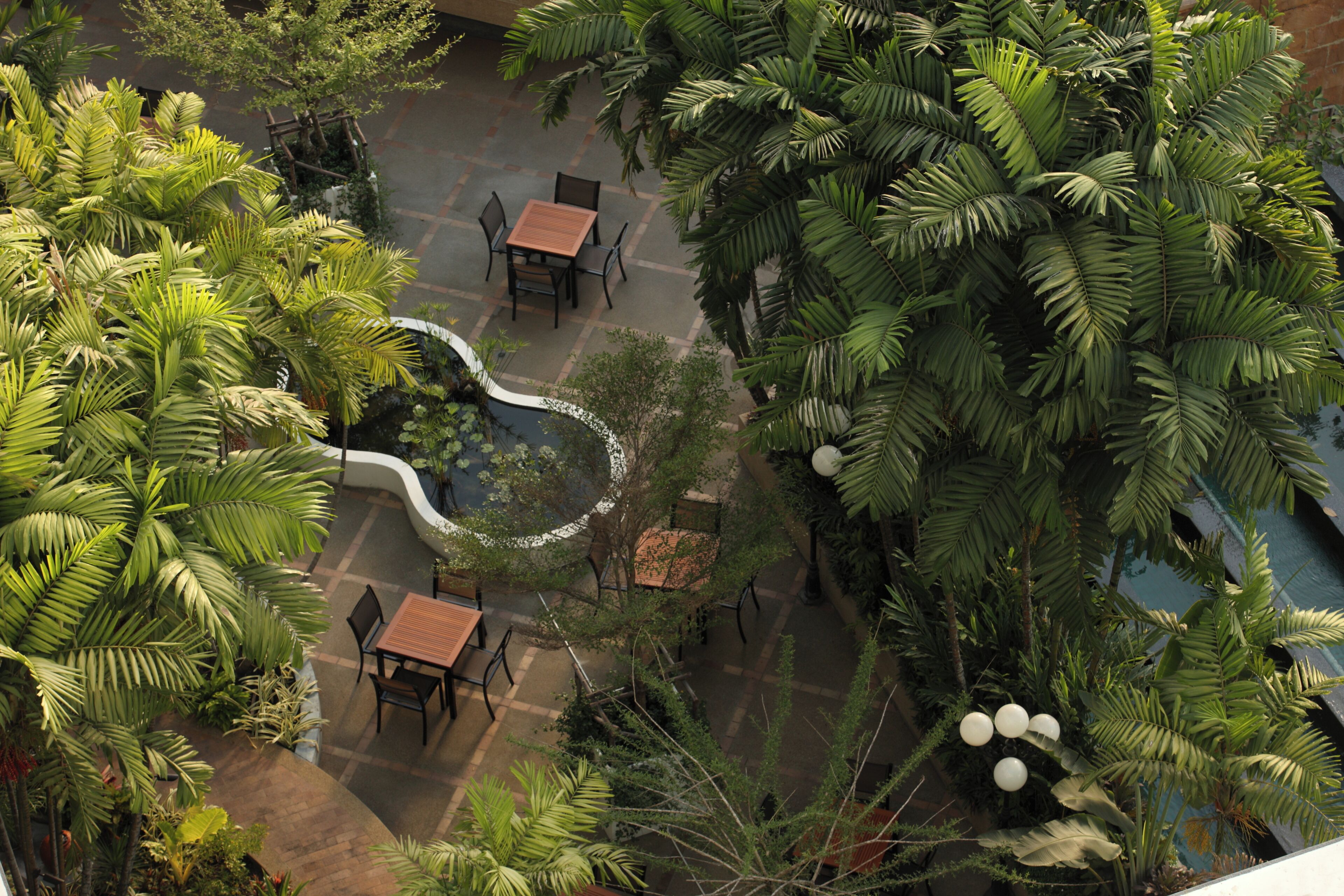 Un jardin sur le toit, doté d’espaces aménagés pour s’asseoir et d’une végétation tropicale luxuriante.