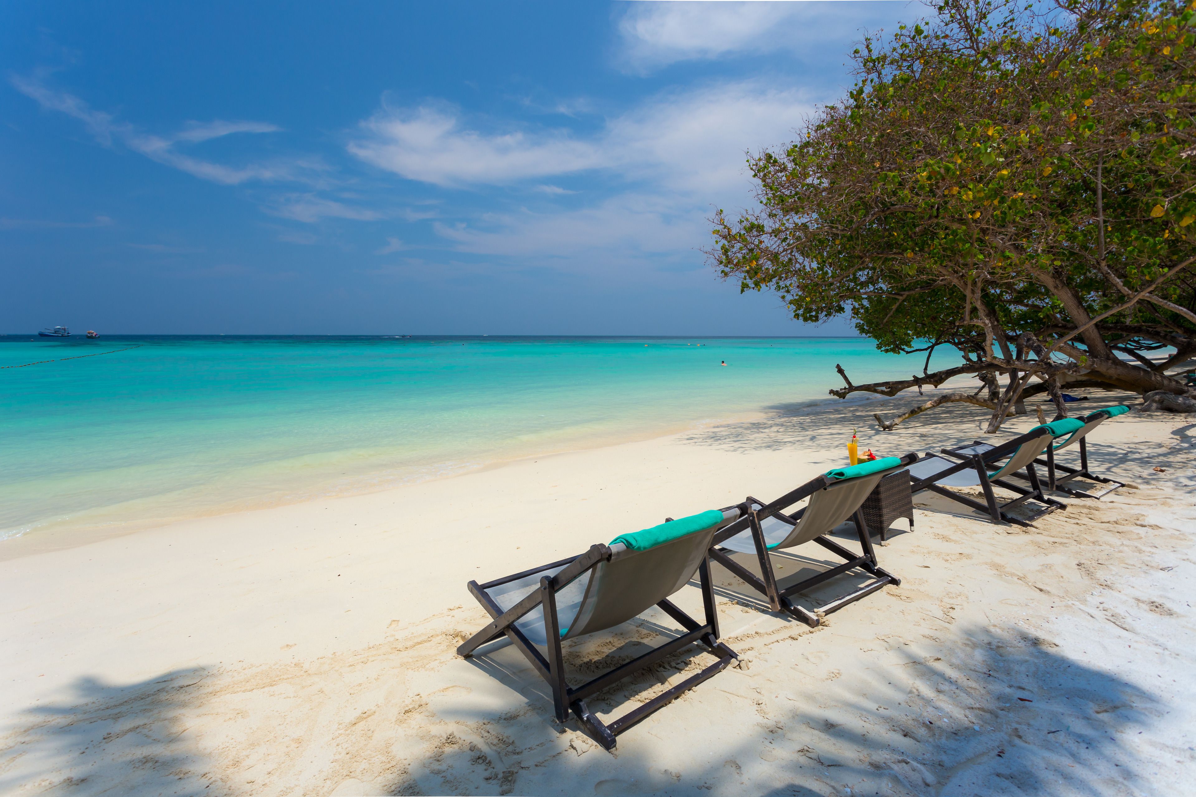 A beach with white sand and turquoise water. There are four beach chairs with green cushions and a tree with green leaves.