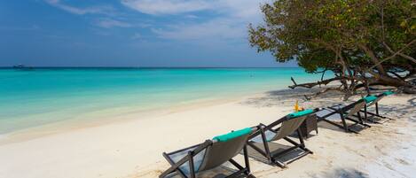 A beach with white sand and turquoise water. There are four beach chairs with green cushions and a tree with green leaves.