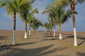 Am Strand, schwarzer Sandstrand, Liegestühle, Strandtücher