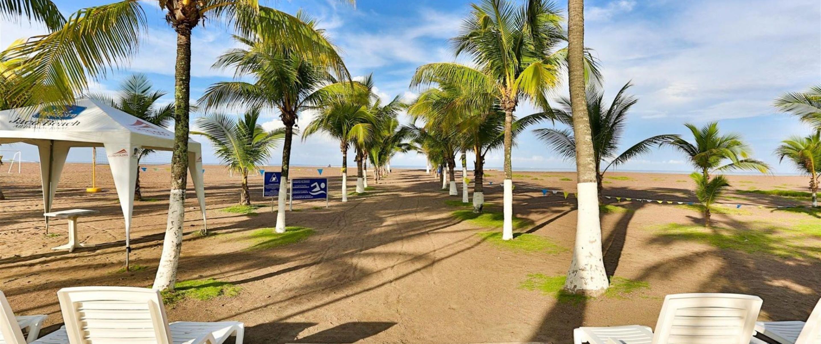 A beach with palm trees, a tent, and a pathway.