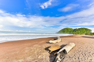 On the beach, black sand, sun-loungers, beach towels