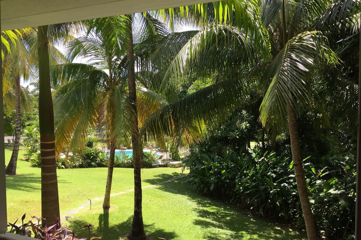 A lush garden with palm trees and a swimming pool.
