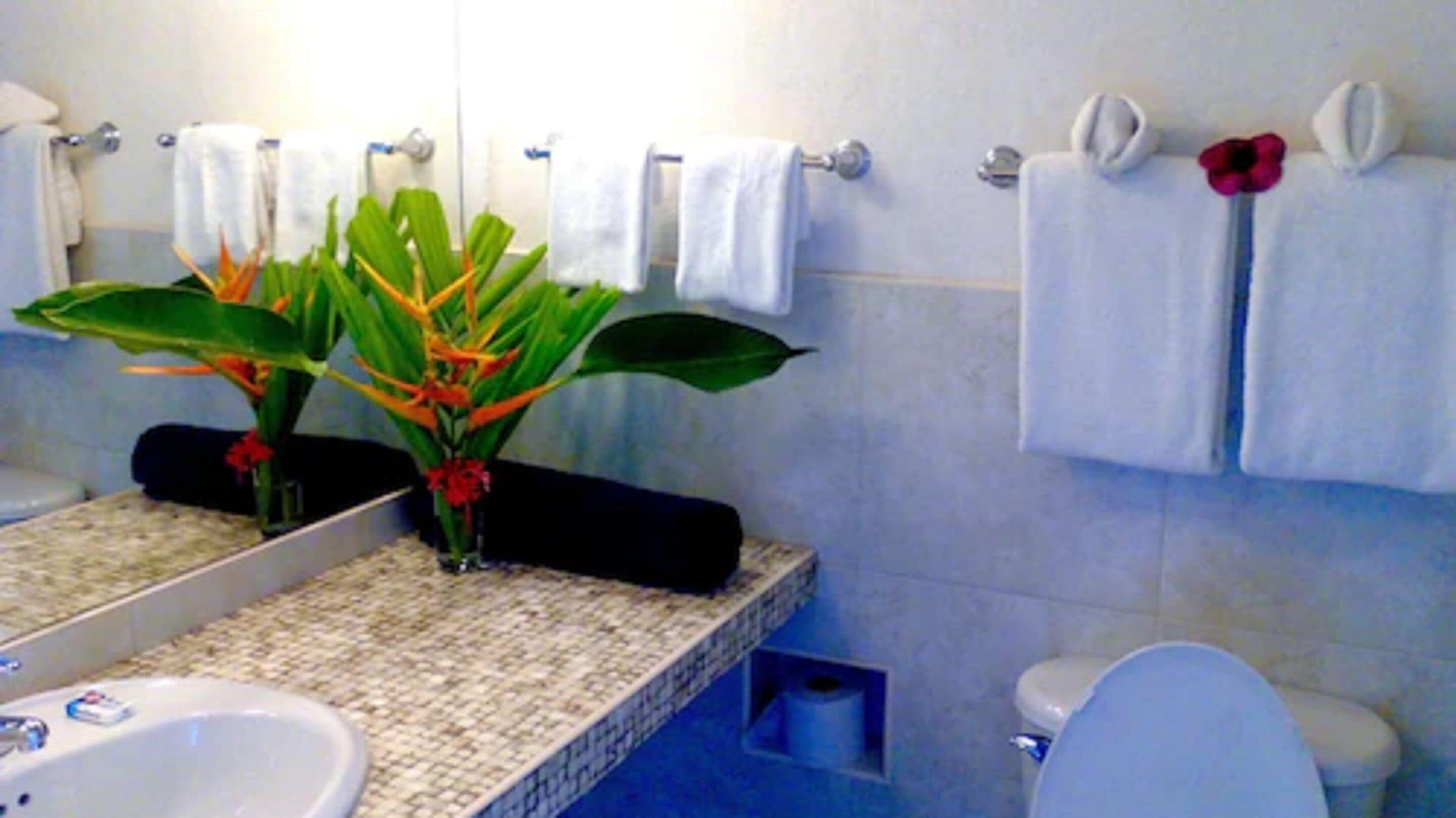 A bathroom with a sink, toilet, and a mirror with a towel rack.