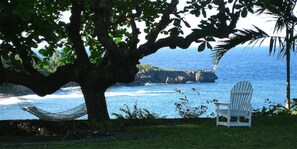 Vista desde la propiedad