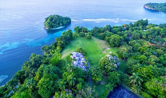 Vista aérea de una isla tropical con una zona central cubierta de hierba, rodeada de bosque denso y un mar azul cristalino.