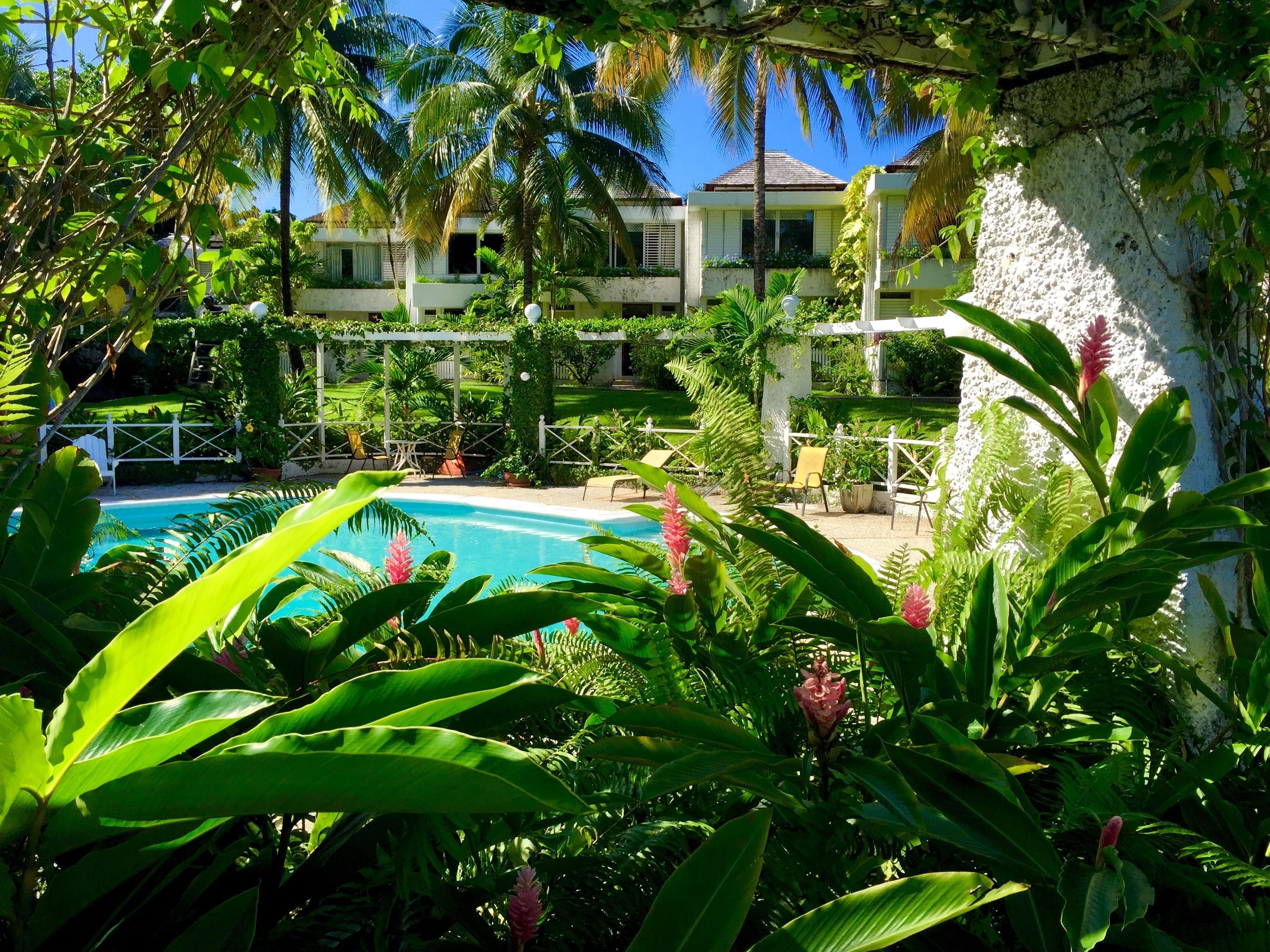 A pool surrounded by lush greenery and a white building with a tiled roof.