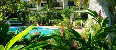 A pool surrounded by lush greenery and a white building with a tiled roof.
