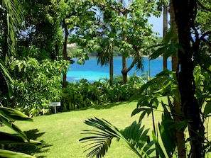 Jardin