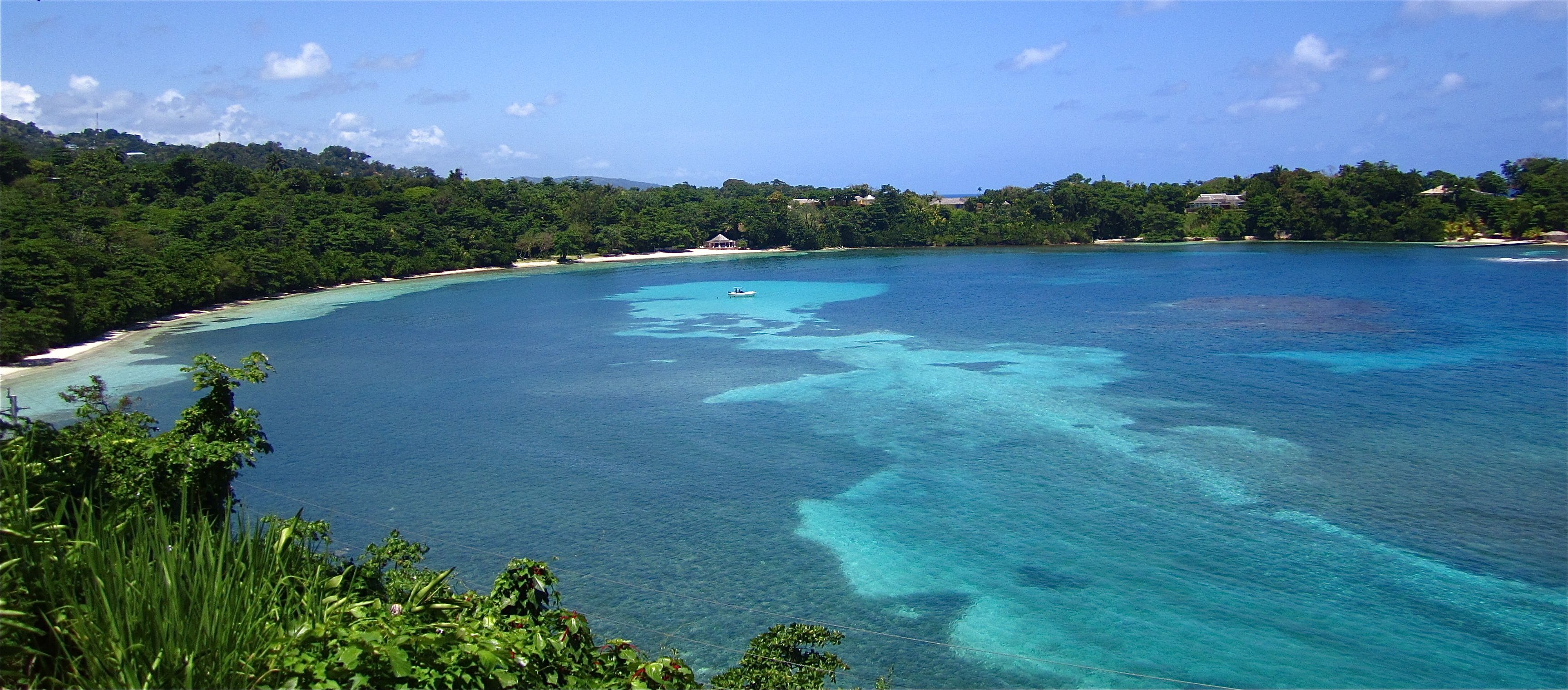 Une vue sur la côte, avec une eau turquoise cristalline, une plage de sable et une végétation luxuriante.