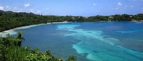 Une vue sur la côte, avec une eau turquoise cristalline, une plage de sable et une végétation luxuriante.
