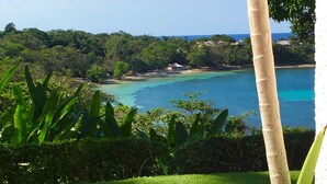 A tropical landscape with a clear view of a beach and ocean.