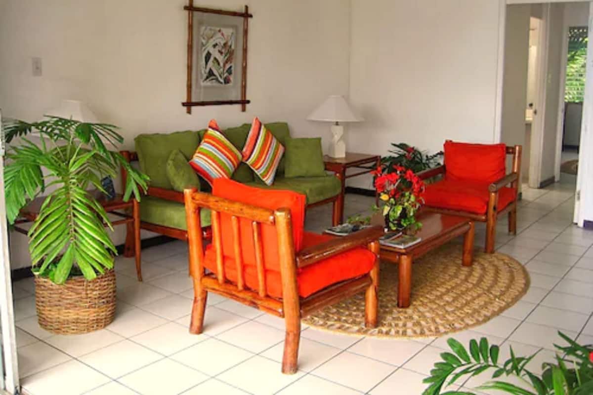 A living room with a green sofa, a wooden chair, a coffee table, and a potted plant.