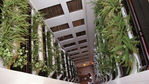 A high-ceiling atrium with hanging ferns and plants, a central seating area, and a modern architectural design. - Ritz Apart Hotel (La Paz)