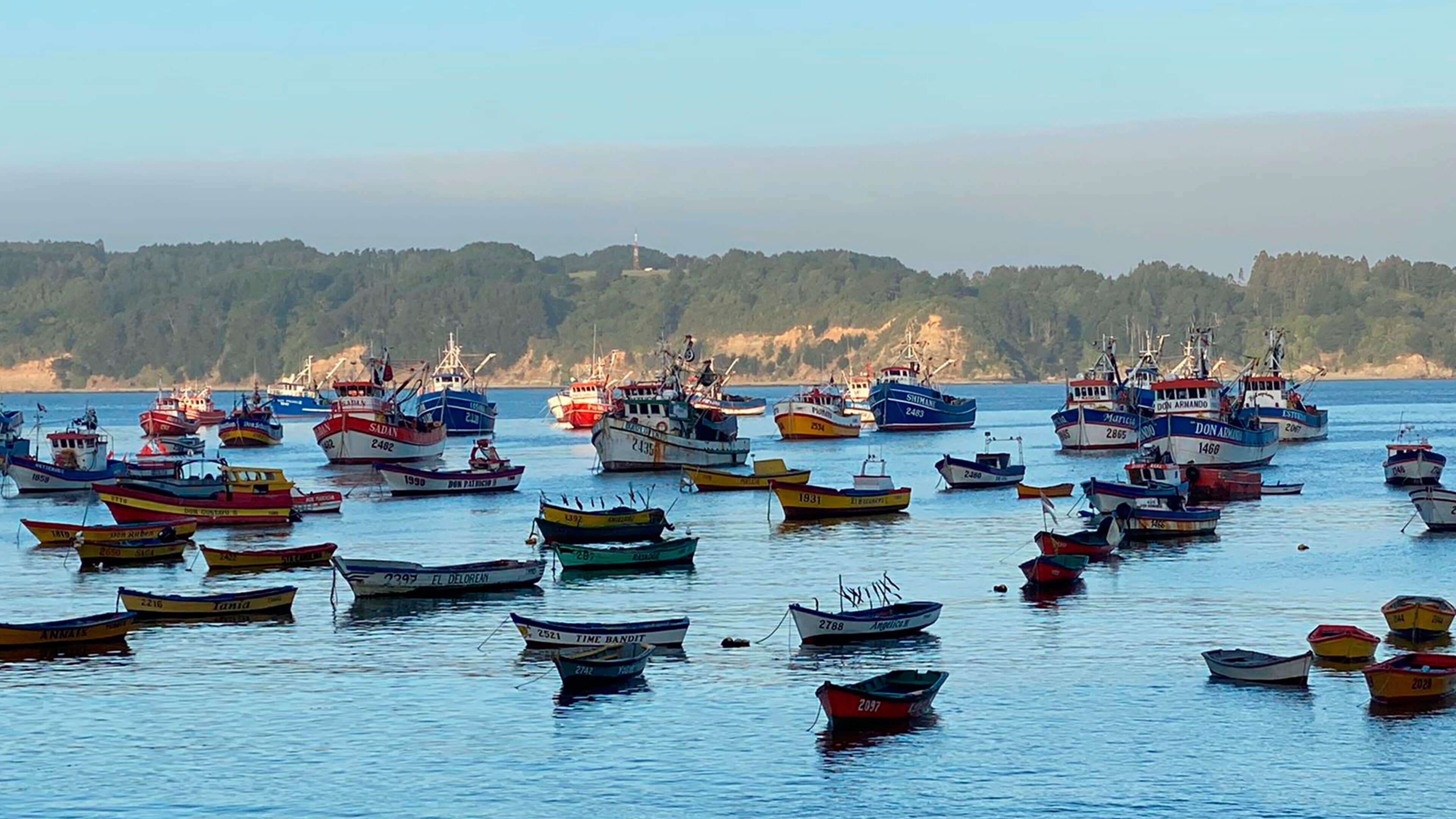 Foto - Holiday Inn Express - Concepcion by IHG