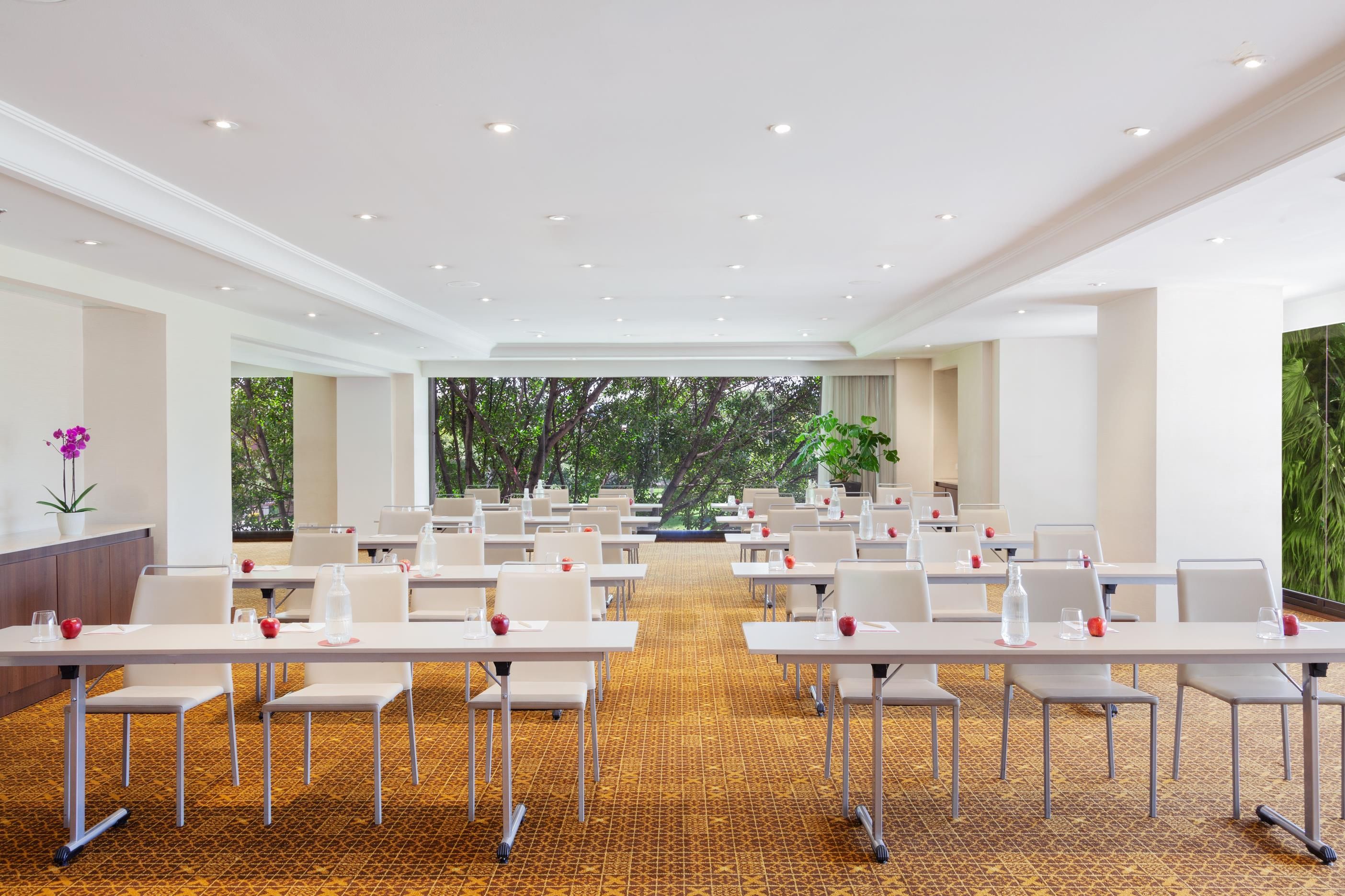 A conference room with rows of tables and chairs, a patterned carpet, and a view of trees through large windows.