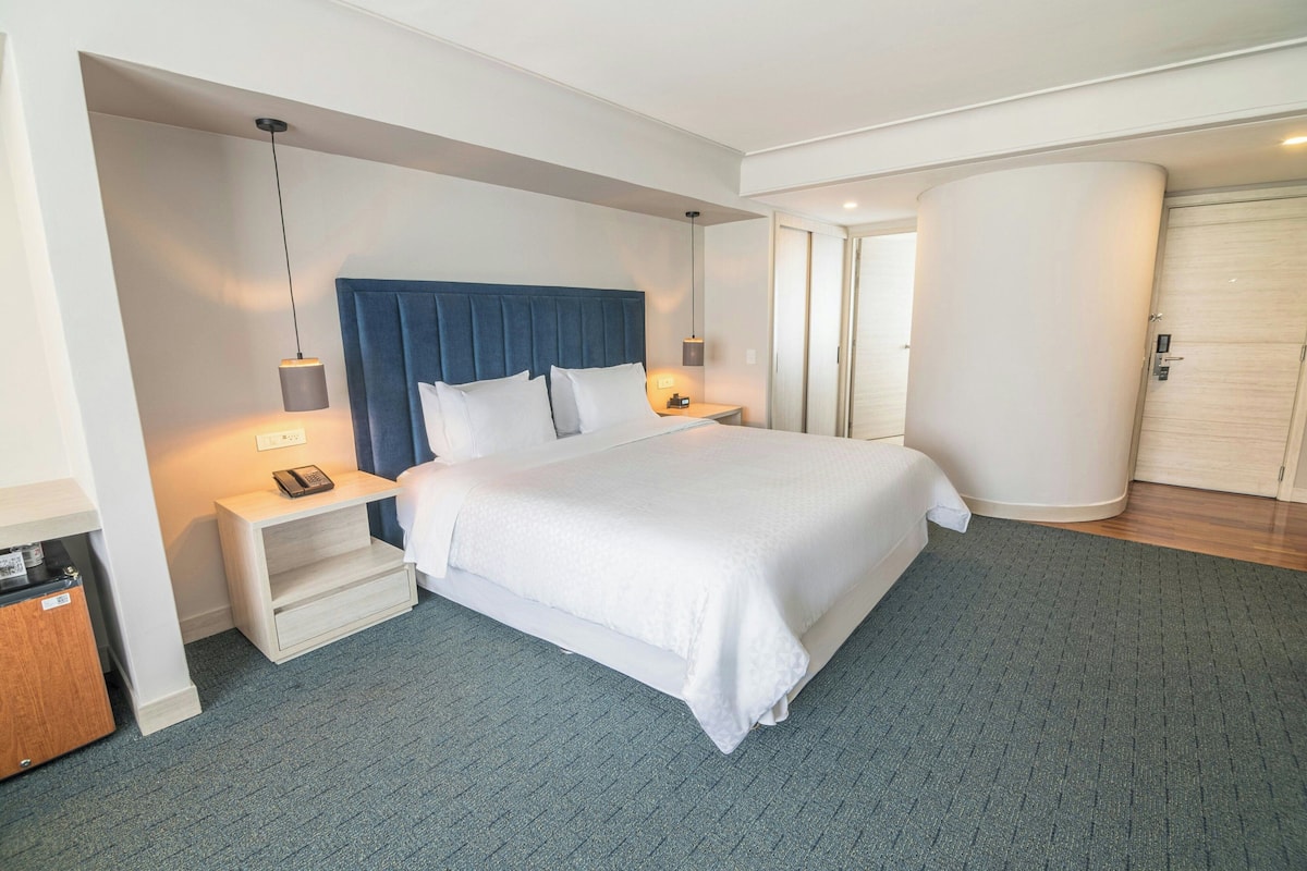 Habitación Deluxe, 1 cama King size | Ropa de cama de alta calidad, edredón, camas Select Comfort y minibar