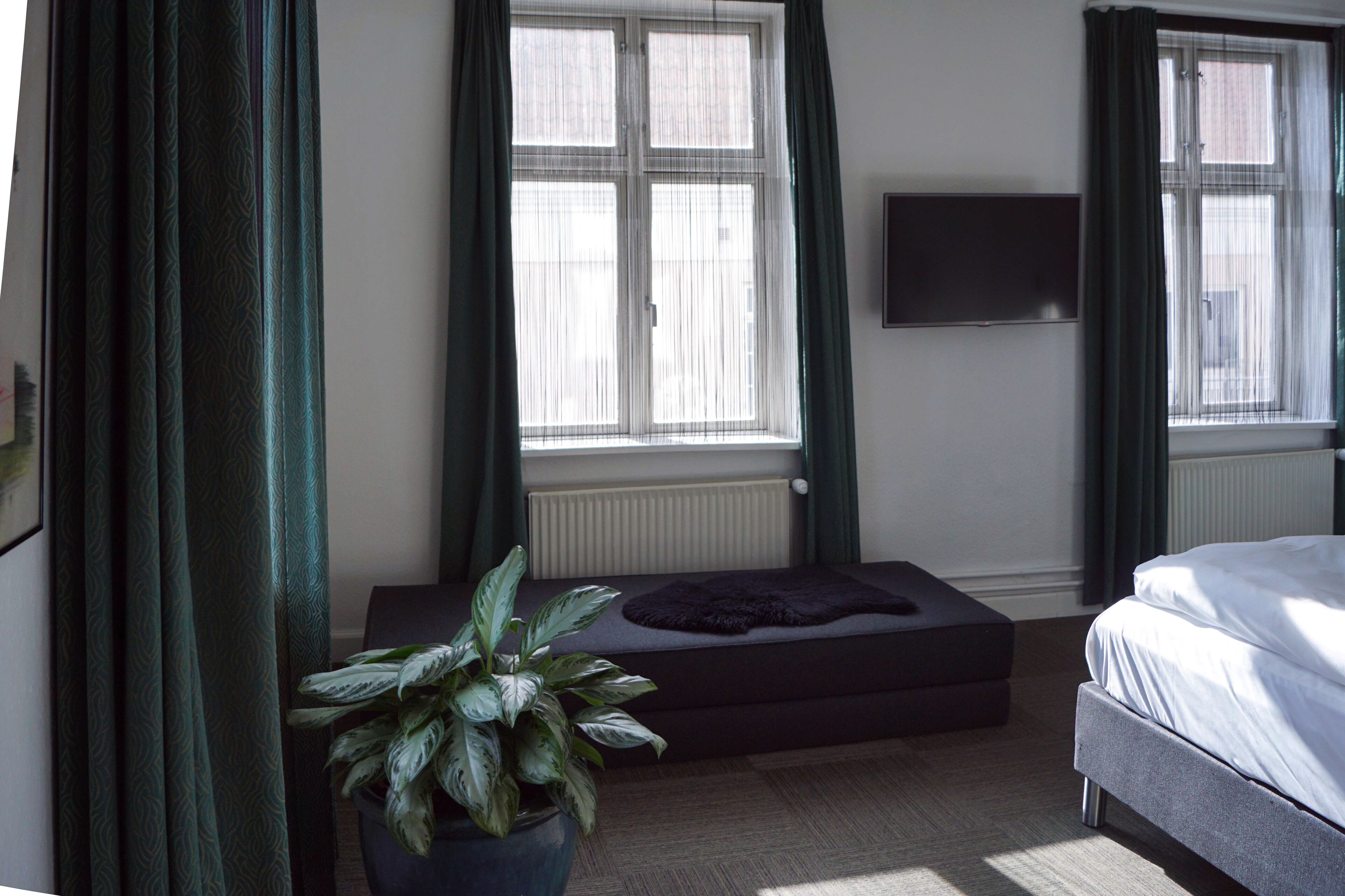 Un dormitorio con cama, ventana con cortinas, radiador, planta y televisor de pantalla plana en la pared.
