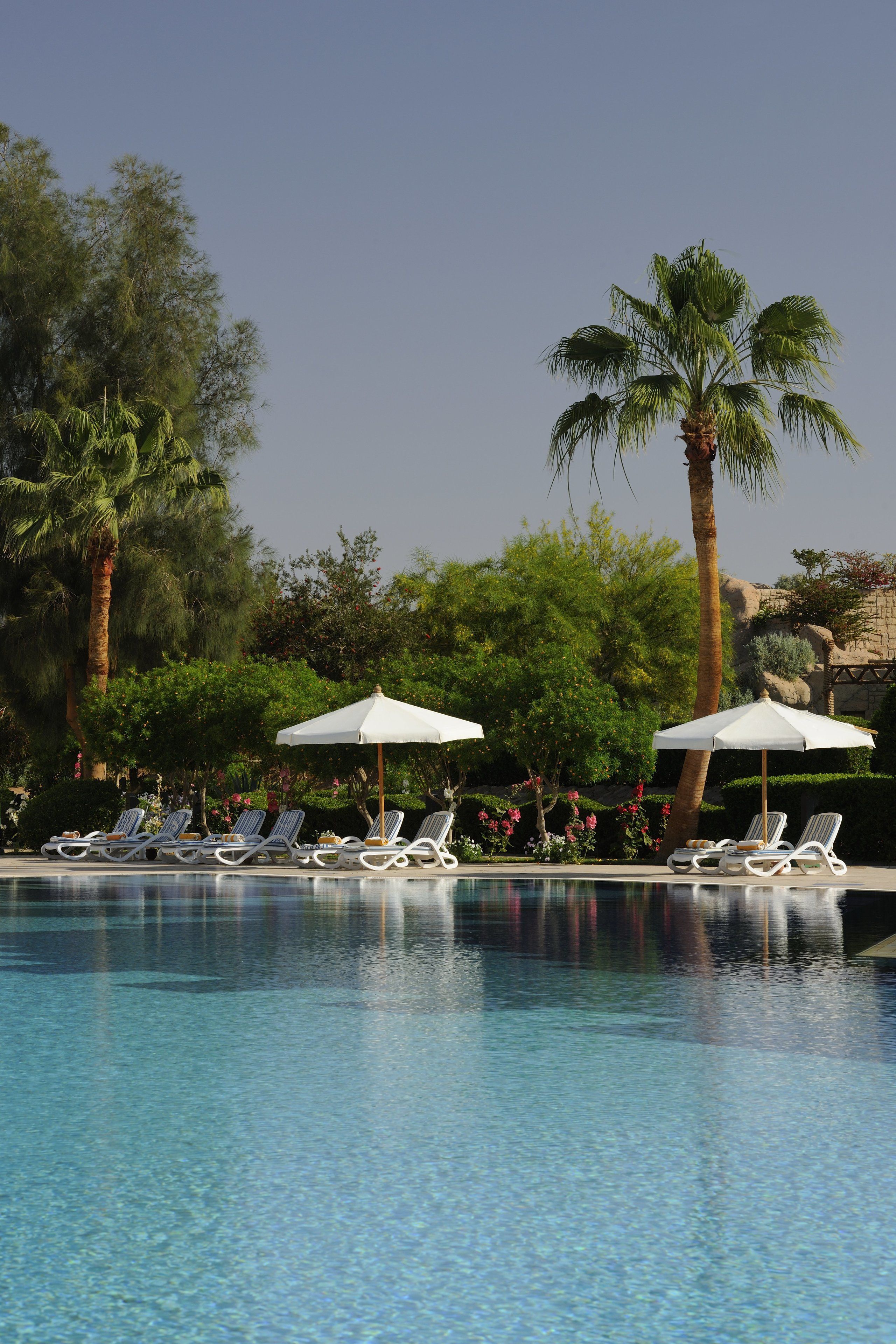 Alberca al aire libre, sombrillas en la alberca y camastros 