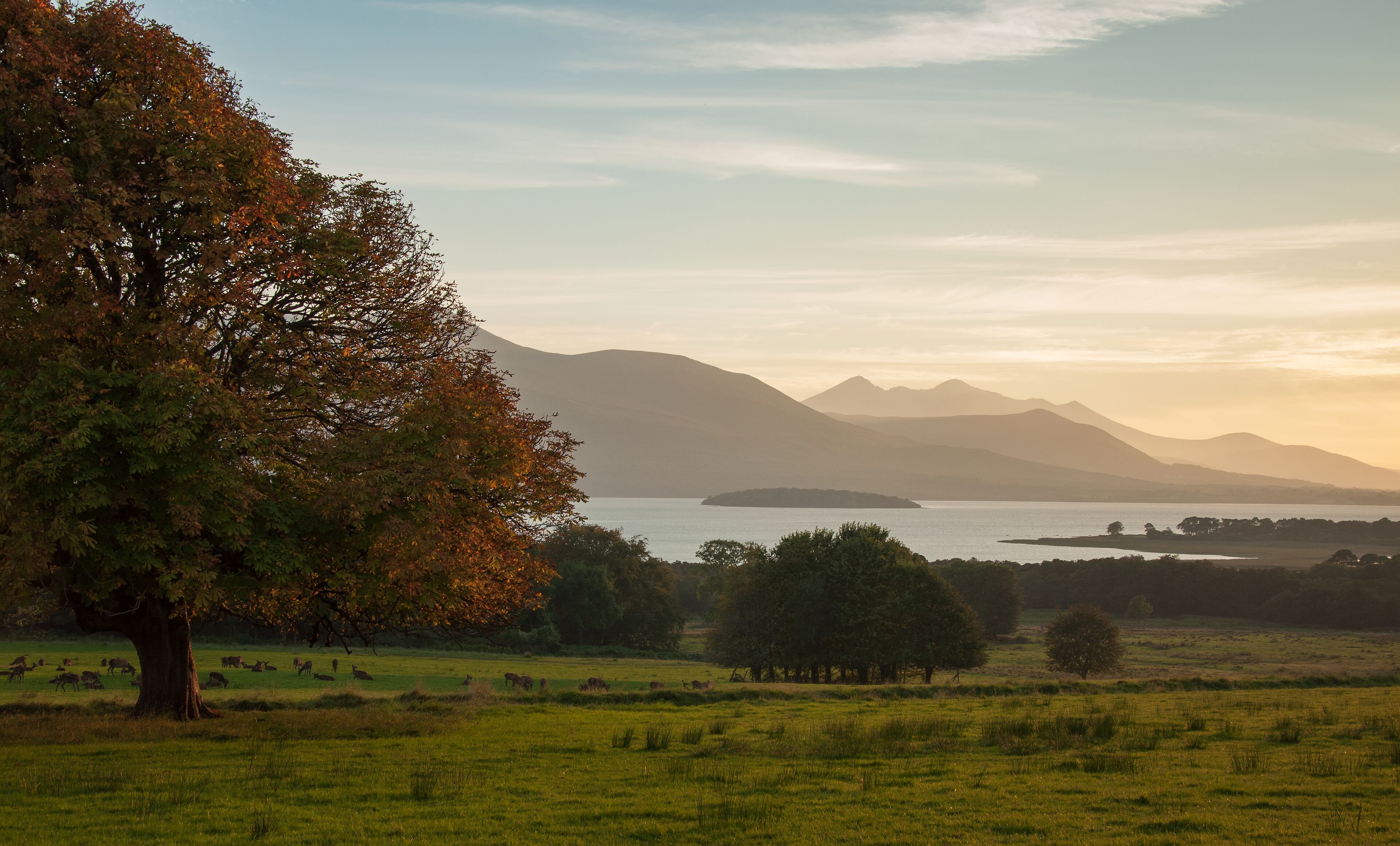 land view from property