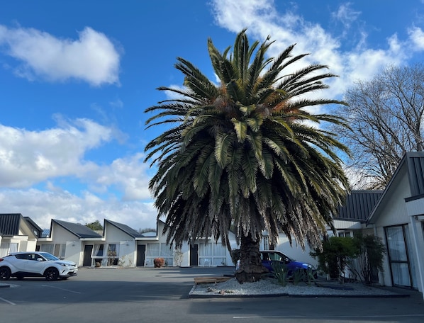 Property grounds - Diplomat Motel (Christchurch)