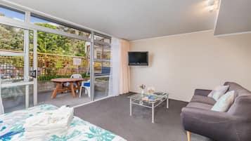 Studio | 1 bedroom, iron/ironing board, free WiFi, bed sheets