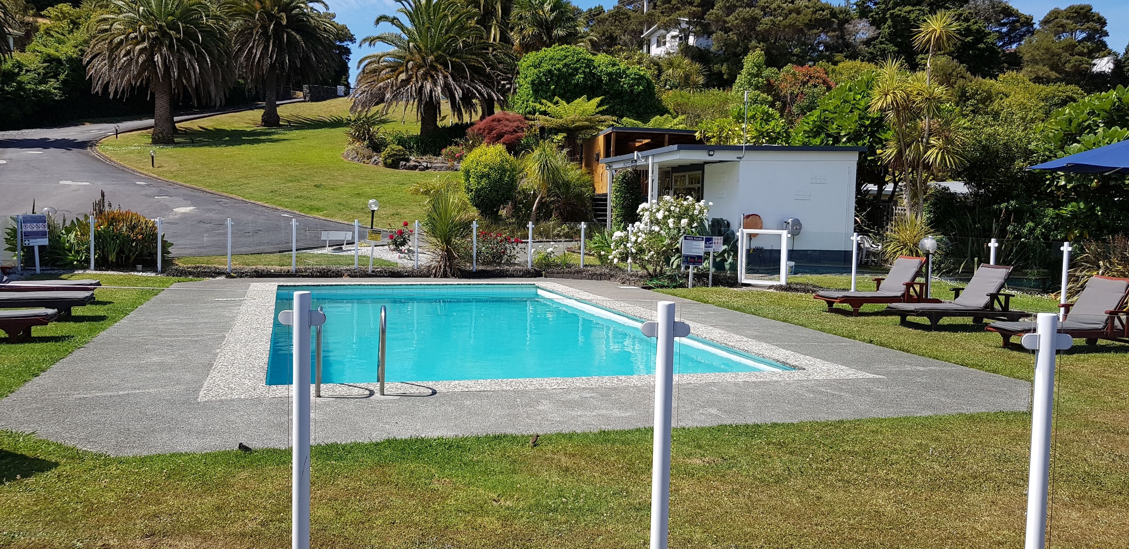 Una piscina con sillones de descanso y un pequeño edificio, rodeado de exuberante follaje.