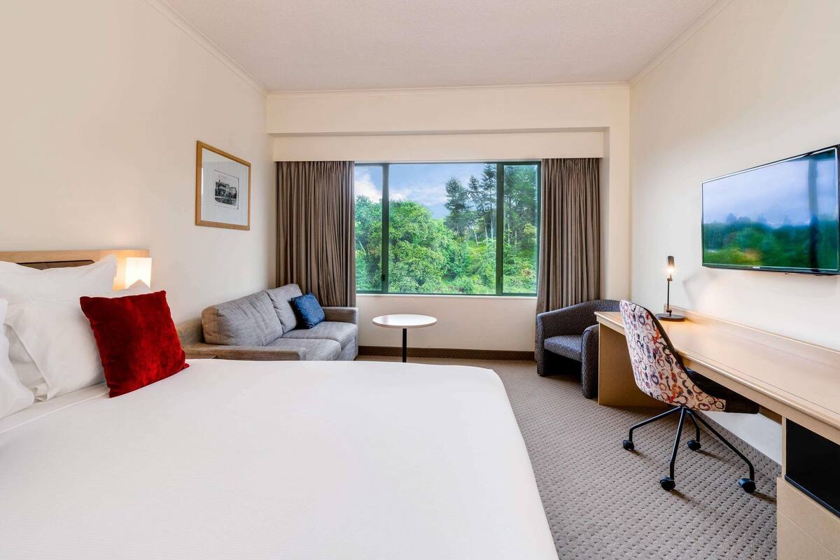 A hotel room with a bed, a sofa, a desk, a chair, a TV, and a window with a view of trees.