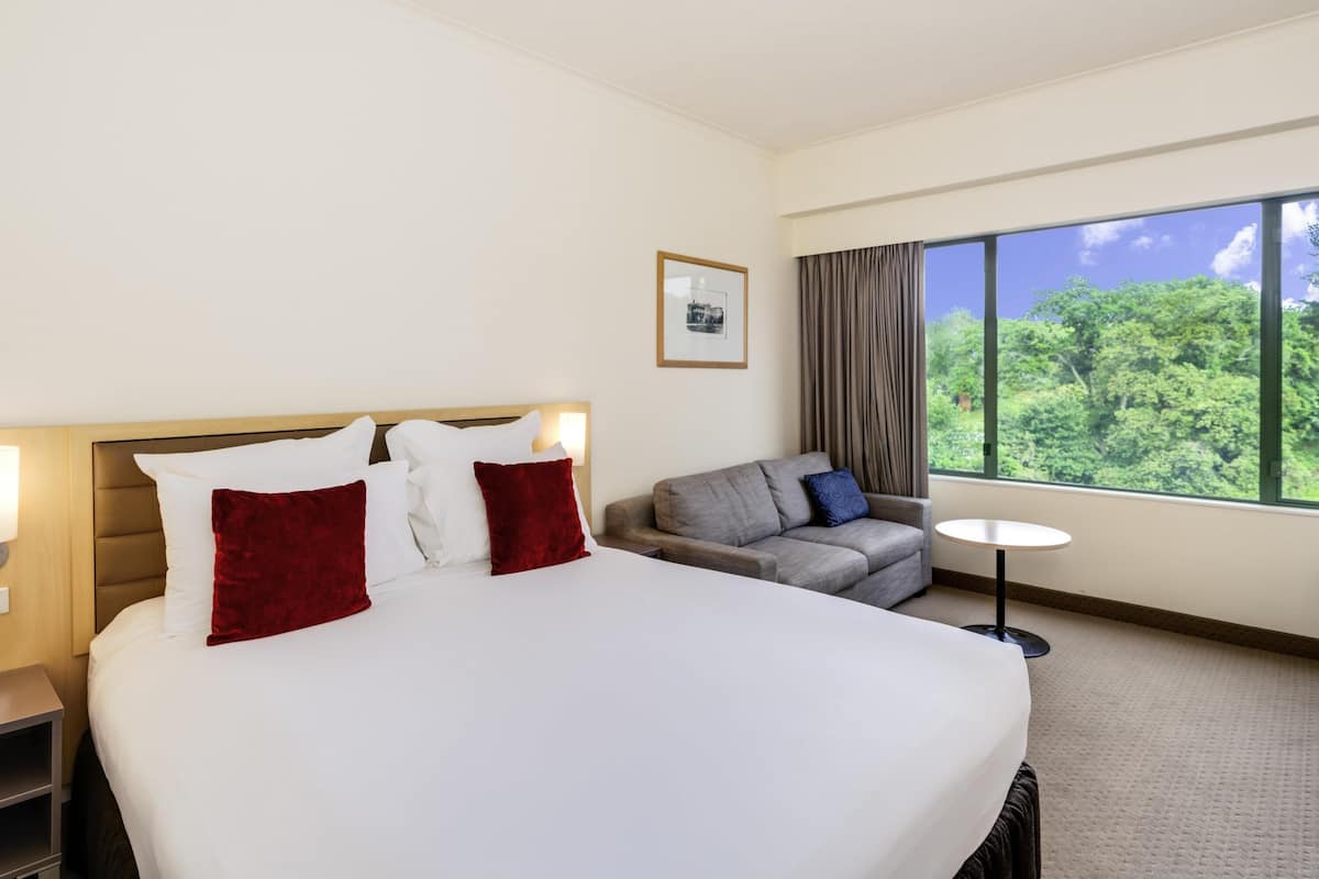 Room, 1 King Bed, City View