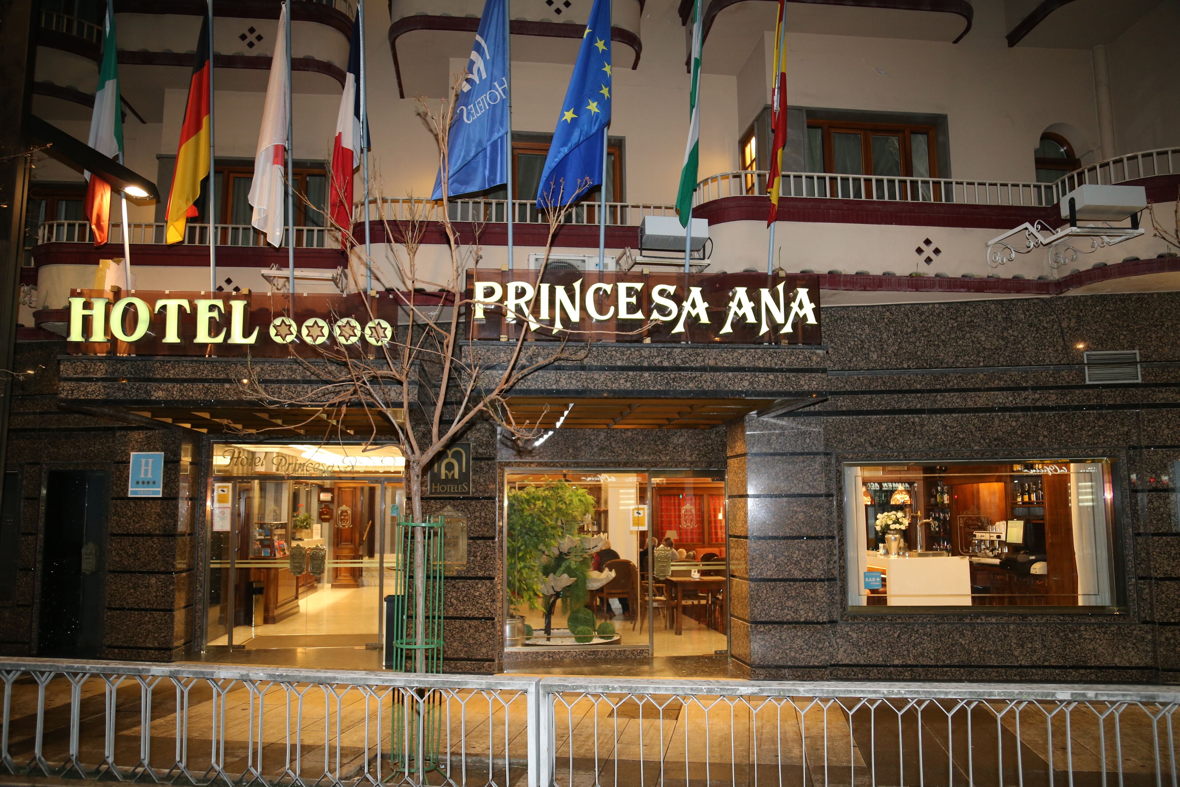Photo - Princesa Ana